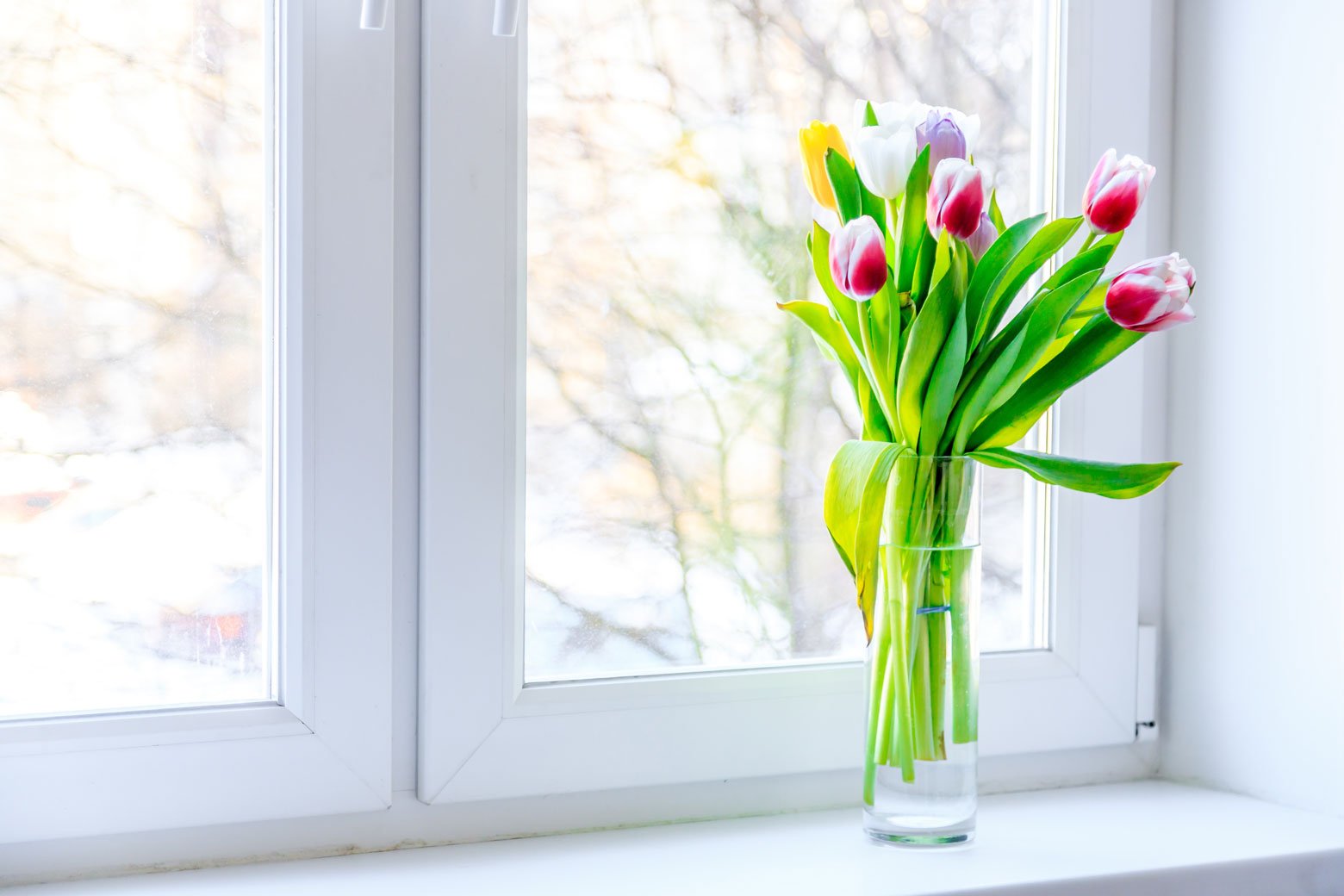 vase of tulips inside, demonstrating how it can look when you apply indoor air quality solutions